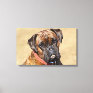 Brindle boxarehund canvastryck
