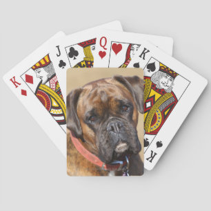 Brindle boxarehund casinokort