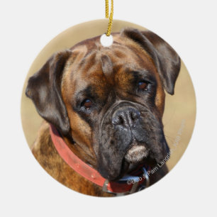 Brindle boxarehund julgransprydnad keramik