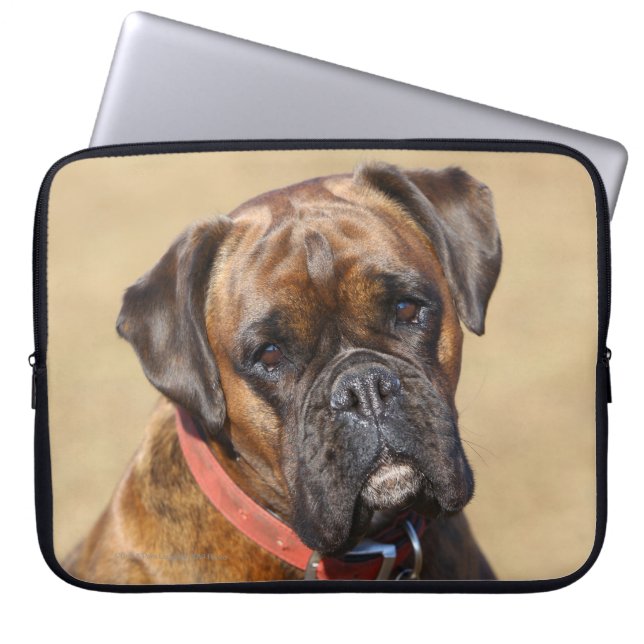 Brindle boxarehund laptop sleeve (Framsidan)