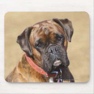 Brindle boxarehund musmatta