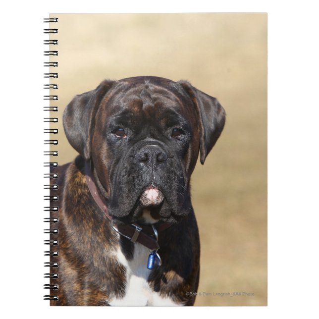 Brindle boxarehundanseende anteckningsbok med spiral (Framsidan)