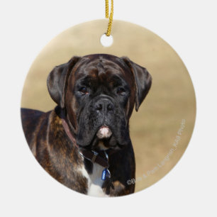 Brindle boxarehundanseende julgransprydnad keramik