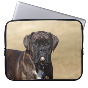 Brindle boxarehundanseende laptop fodral