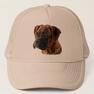 Brindle boxarevalphatt keps