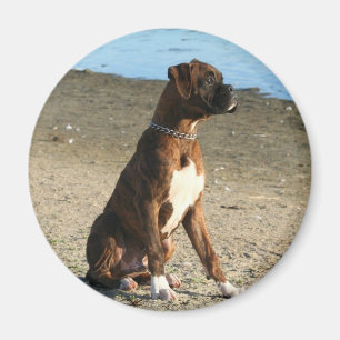 Brindle boxarevalpmagnet magnet