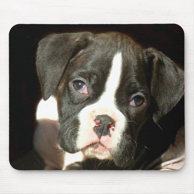 Brindle boxarevalpmousepad musmatta (Framsidan)