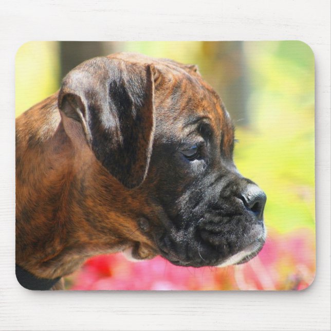 Brindle boxarevalpmousepad musmatta (Framsidan)