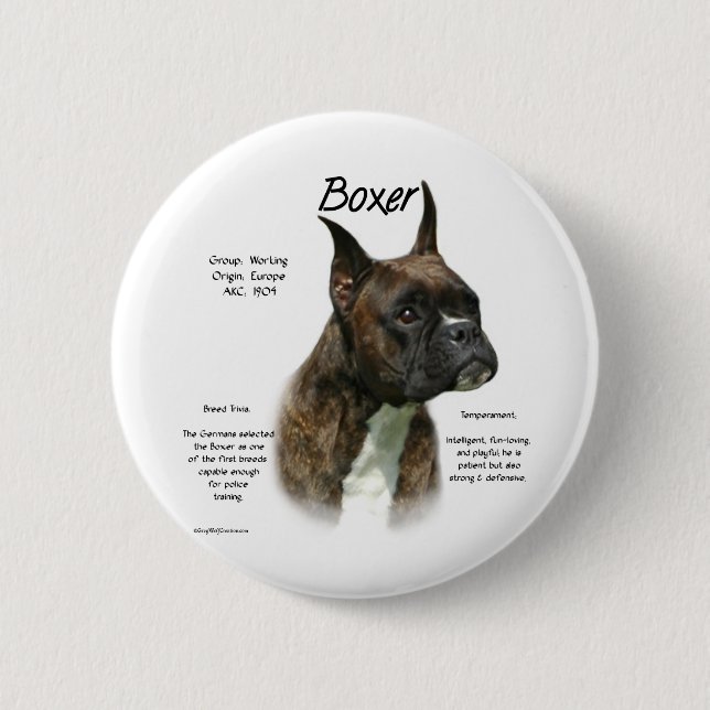 Brindle Boxer Historik Knapp (Framsida)