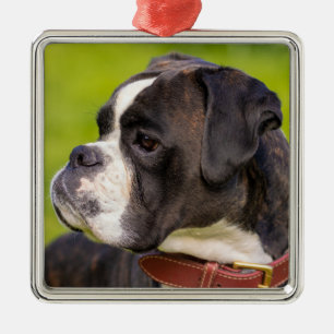 Brindle Boxer Puppy Hund Julgransprydnad Metall