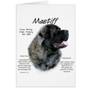 Brindle Fluffy Mastiff Historik Hälsningskort