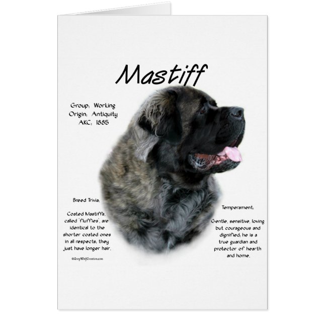 Brindle Fluffy Mastiff Historik Hälsningskort (Framsidan)