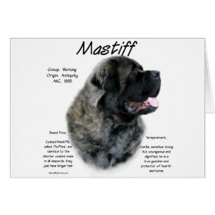 Brindle Fluffy Mastiff Historik Hälsningskort