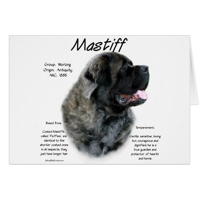 Brindle Fluffy Mastiff Historik Hälsningskort (Framsidan Horizontal)