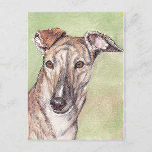 Brindle Greyhound Hund Art Postcards Vykort