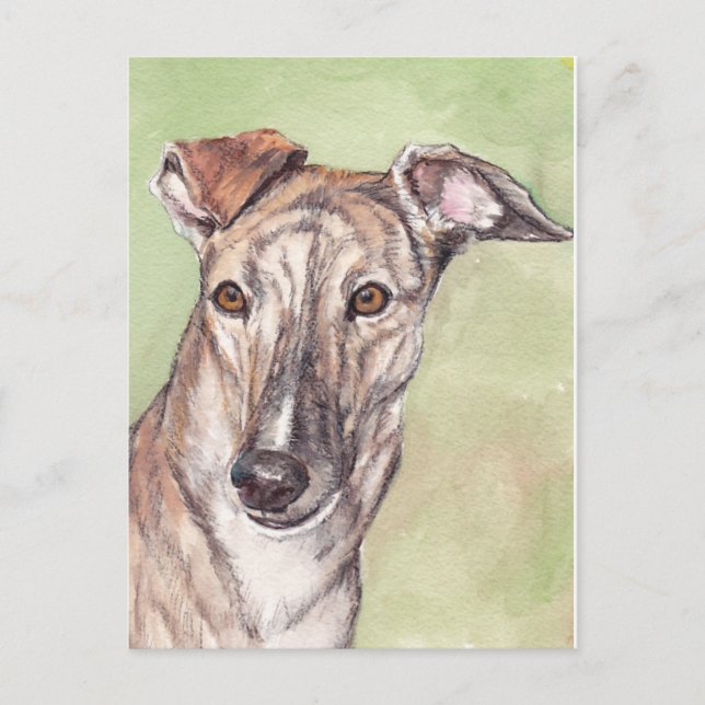 Brindle Greyhound Hund Art Postcards Vykort (Framsida)