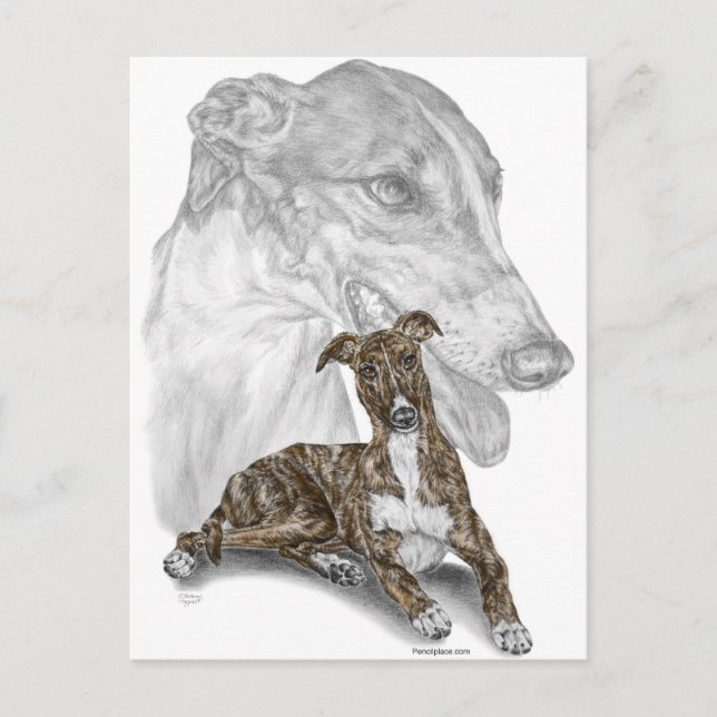 Brindle Greyhound Hund Art Vykort (Framsida)