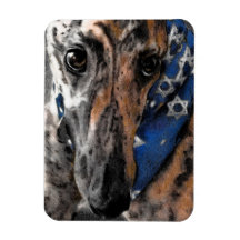 Brindle Greyhound i hennes Helgdag Bandana