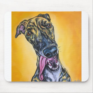 Brindle Greyhound Musmatta