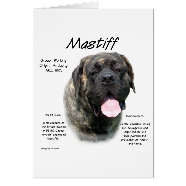 Brindle Mastiff History Hälsningskort (Framsidan)