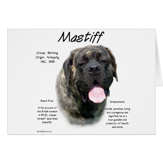 Brindle Mastiff History Hälsningskort (Framsidan Horizontal)