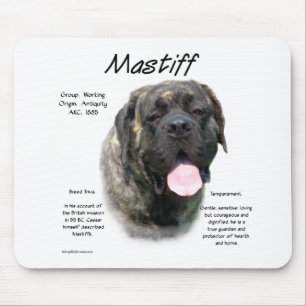 Brindle Mastiff History Musmatta