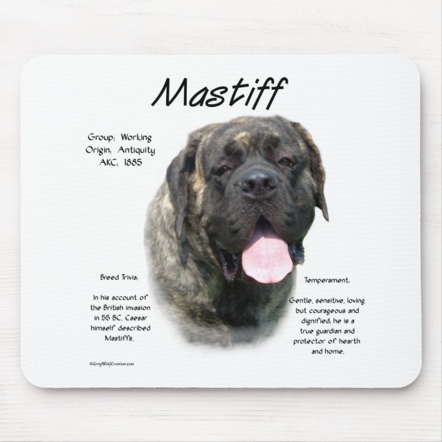 Brindle Mastiff History Musmatta (Framsidan)