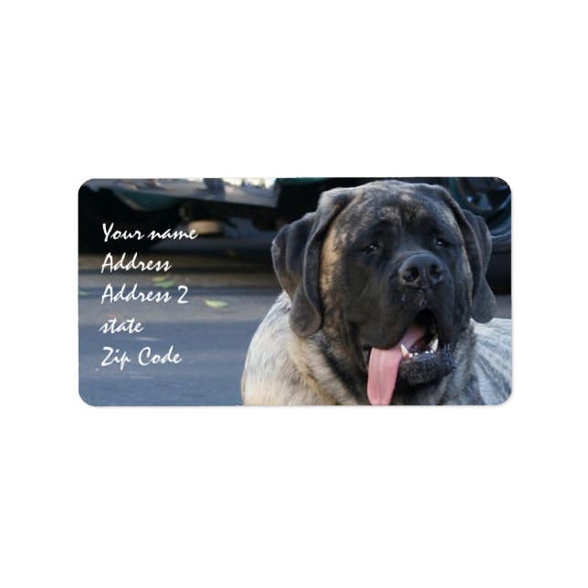 Brindle Mastiff Hund Adressetikett (Framsidan)