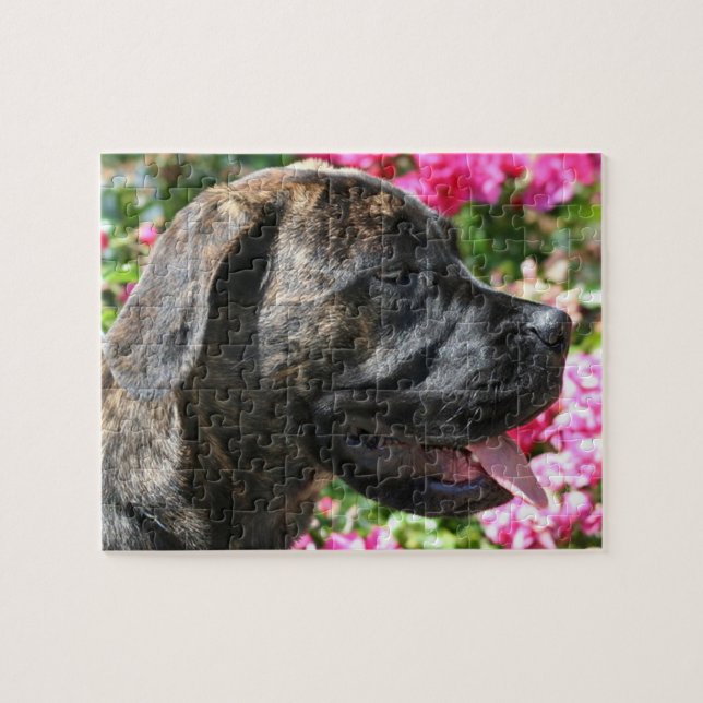 Brindle Mastiff Hund Pussel (Horisontell)