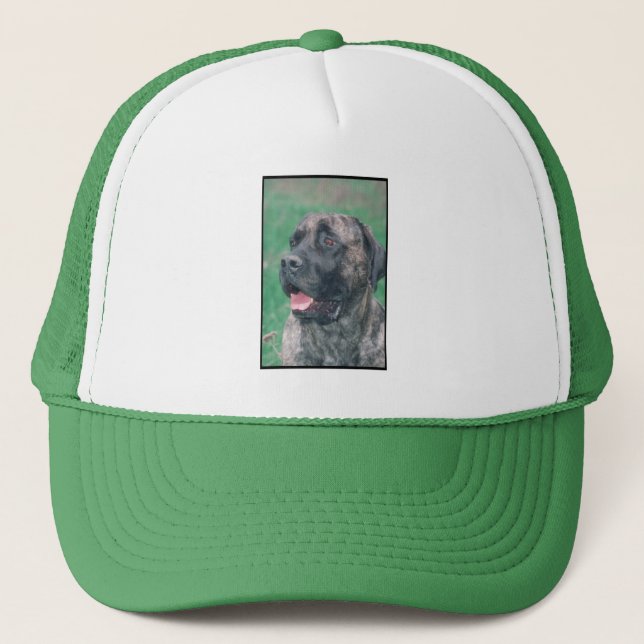Brindle Mastiff Keps (Framsida)
