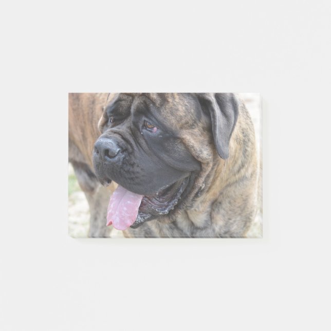Brindle Mastiff Post-it Block (Framsida)