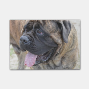 Brindle Mastiff Post-it Block