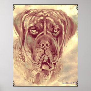 Brindle Mastiff Poster av Sång Zeock