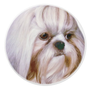Brindle och vitShih Tzu hund Knopp