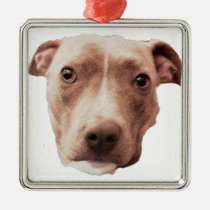 BRINDLE PIT BULL-ornament Julgransprydnad Metall
