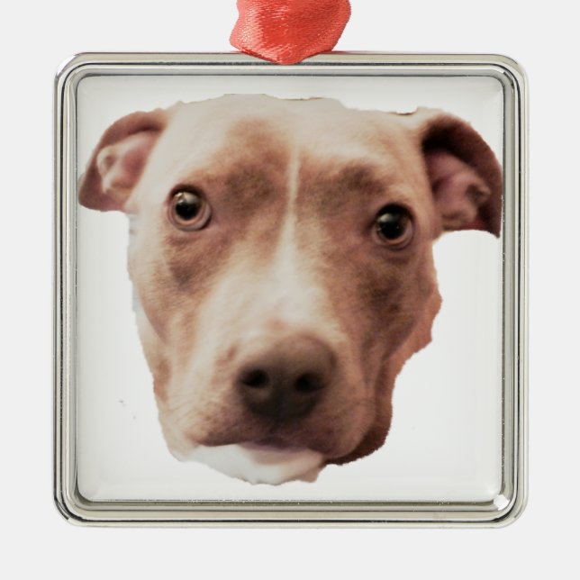 BRINDLE PIT BULL-ornament Julgransprydnad Metall (Framsidan)