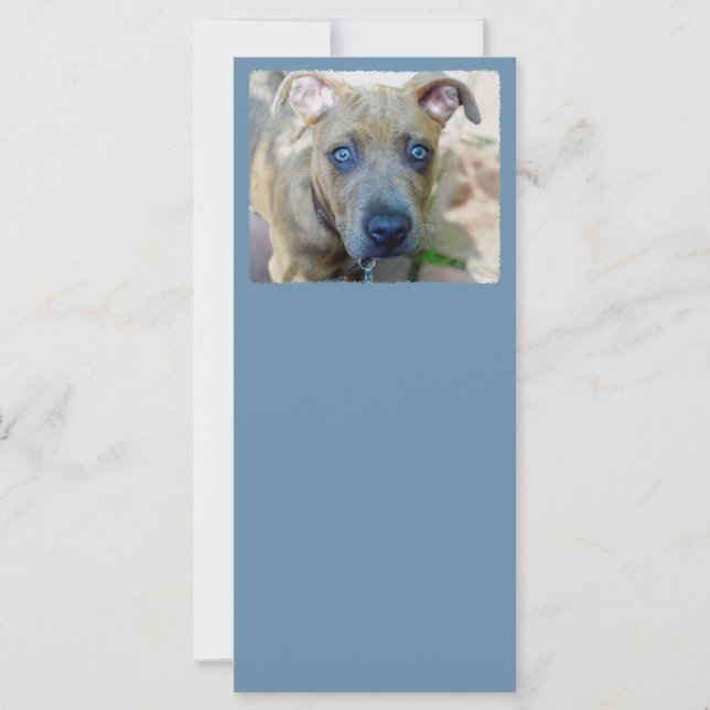 Brindle Pit Bull Puppy av Shirley Taylor (Framsida)