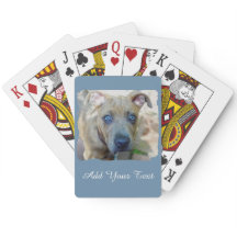 Brindle Pit Bull Puppy av Shirley Taylor