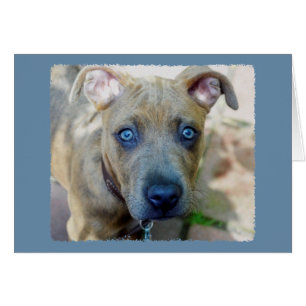 Brindle Pit Bull Puppy av Shirley Taylor Hälsningskort