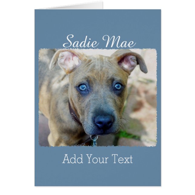 Brindle Pit Bull Puppy av Shirley Taylor Hälsningskort (Framsidan)