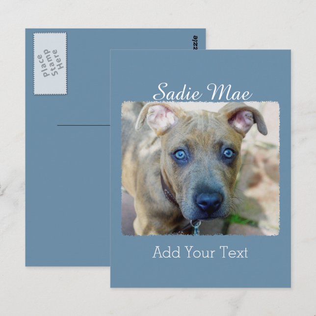 Brindle Pit Bull Puppy av Shirley Taylor Vykort (Fram/baksida)