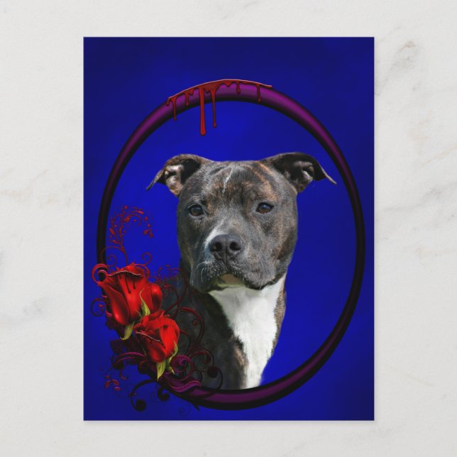 Brindle pitbull med ro vykort (Framsida)