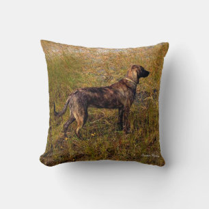Brindle Plott Hound i träsk kastkudde Kudde