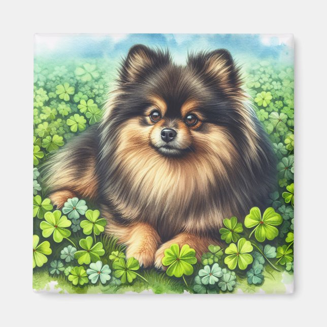 Brindle Pommanian Watercolor Klöver Shamrock Magnet (Framsidan)