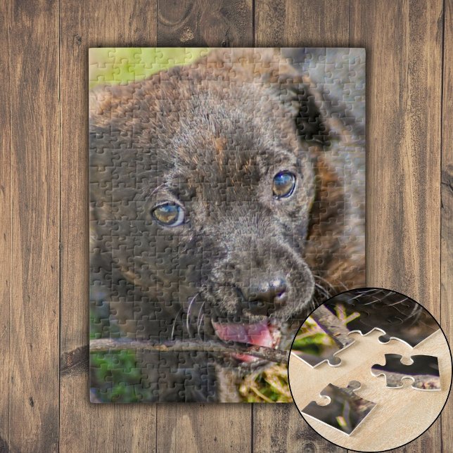 Brindle Puppy Chewing på Twig Pussel (Brindle Puppy Chewing on Twig Jigsaw Puzzle)
