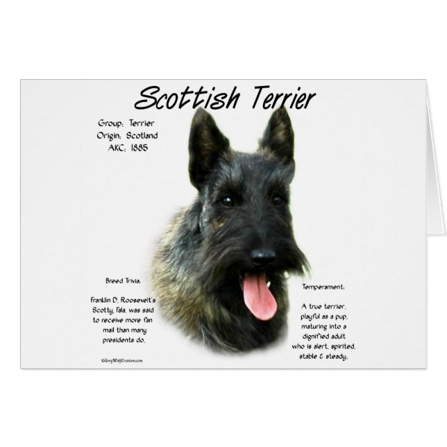 Brindle Scottish Terrier History Hälsningskort (Framsidan Horizontal)