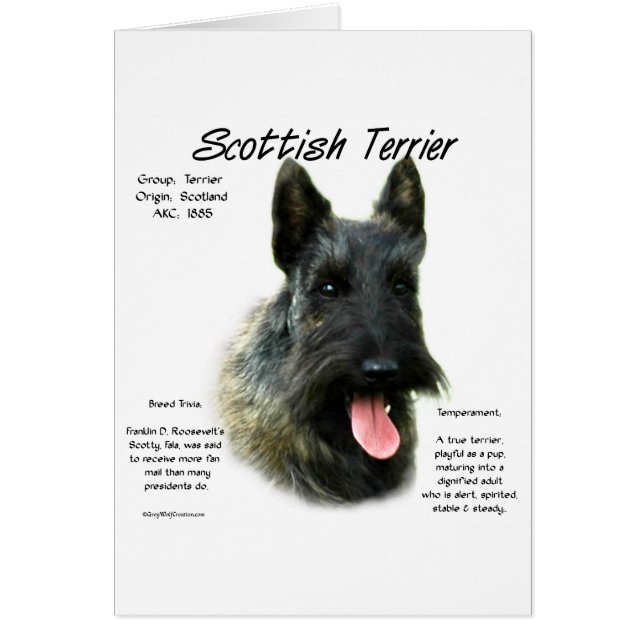 Brindle Scottish Terrier History Hälsningskort (Framsidan)