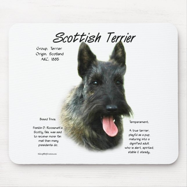 Brindle Scottish Terrier History Musmatta (Framsidan)