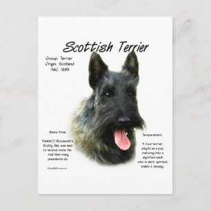 Brindle Scottish Terrier History Vykort