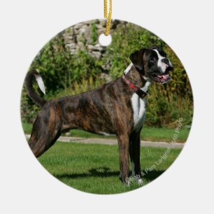 Brindle Stance för boxarehundShow Julgransprydnad Keramik
